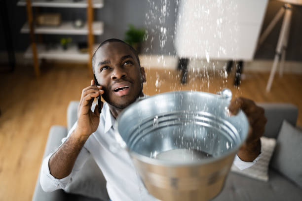 Best Water damage restoration near me  in Walnut Creek, OH