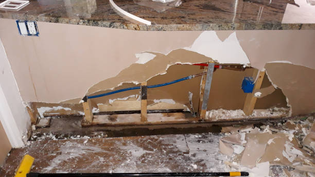 Best Water damage contractors near me  in Walnut Creek, OH