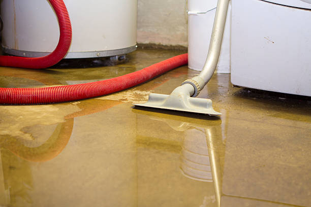 Best Water damage restoration process  in Walnut Creek, OH