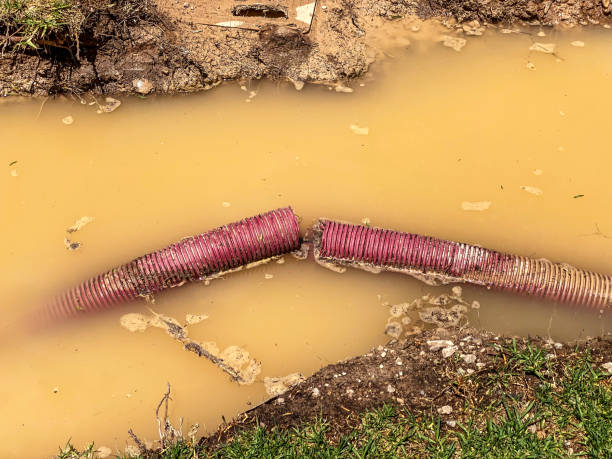 Best Carpet water damage restoration  in Walnut Creek, OH