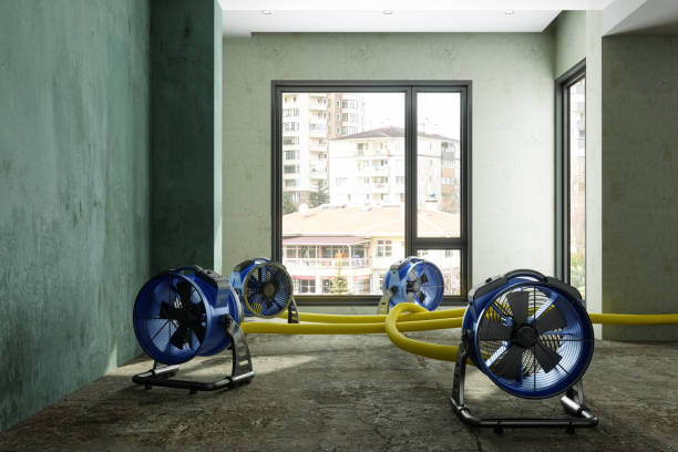 Best Residential water damage restoration  in Walnut Creek, OH